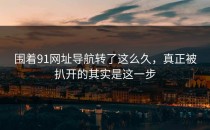 围着91网址导航转了这么久，真正被扒开的其实是这一步