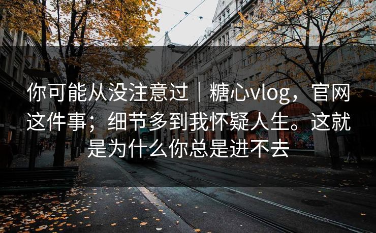 你可能从没注意过｜糖心vlog，官网这件事；细节多到我怀疑人生。这就是为什么你总是进不去  第1张
